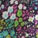 Estampada